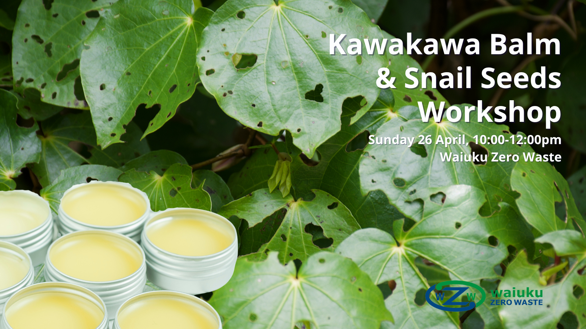 Read more about the article Kawakawa Balm & Snail Seeds Workshop